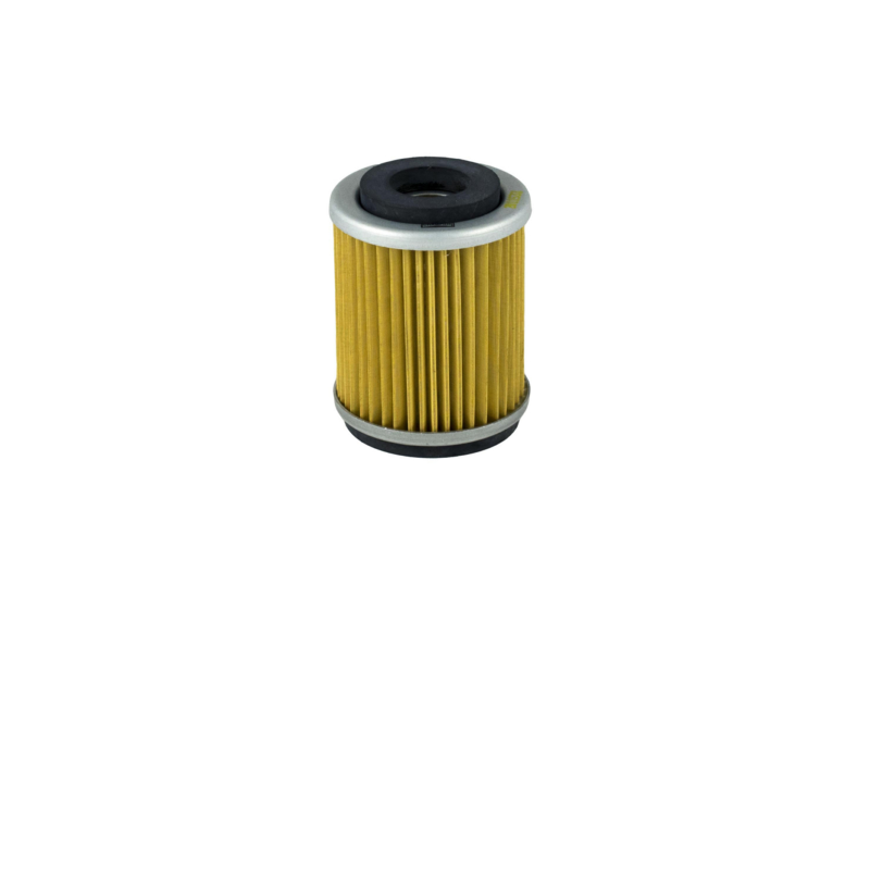 https://images.rms.it/Moto/Motore/Filtri-Olio/big/Champion-100609635.png