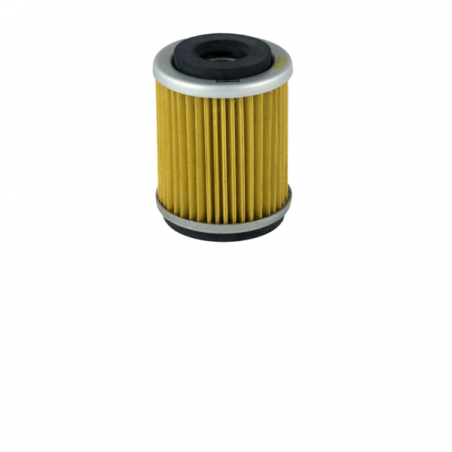 https://images.rms.it/Moto/Motore/Filtri-Olio/big/Champion-100609635.png