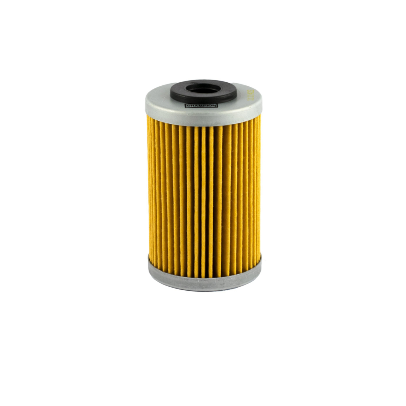 https://images.rms.it/Moto/Motore/Filtri-Olio/big/Champion-100609605.png