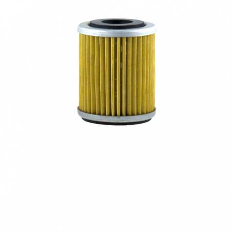 https://images.rms.it/Moto/Motore/Filtri-Olio/big/Champion-100609615.png