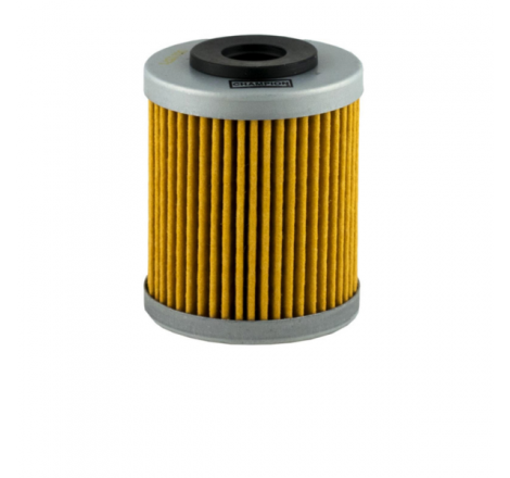 https://images.rms.it/Moto/Motore/Filtri-Olio/big/Champion-100609545.png