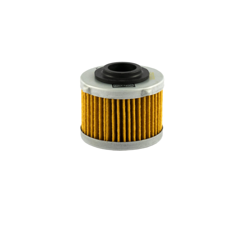 https://images.rms.it/Moto/Motore/Filtri-Olio/big/Champion-100609495.png