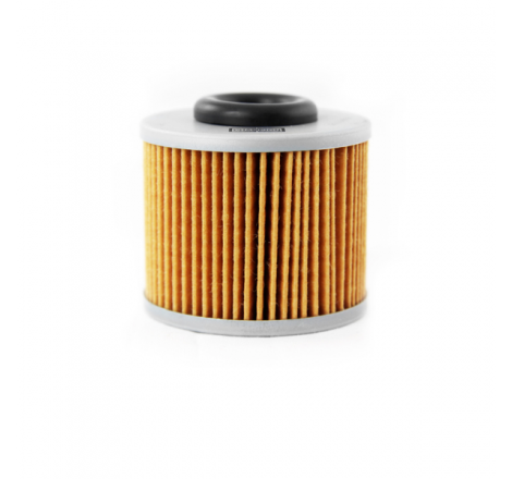 https://images.rms.it/Moto/Motore/Filtri-Olio/big/Champion-100608035.png