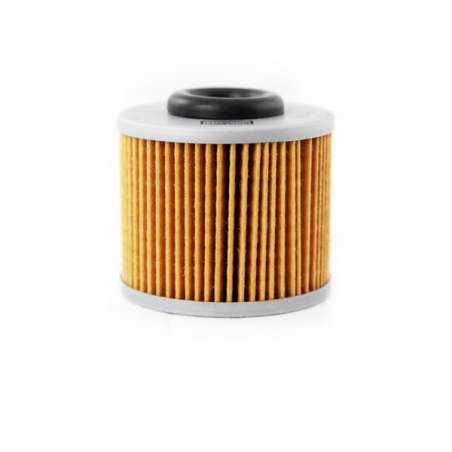 https://images.rms.it/Moto/Motore/Filtri-Olio/big/Champion-100608035.png