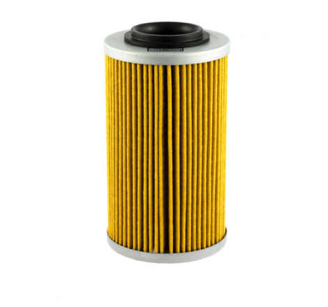 https://images.rms.it/Moto/Motore/Filtri-Olio/big/Champion-100608065.png