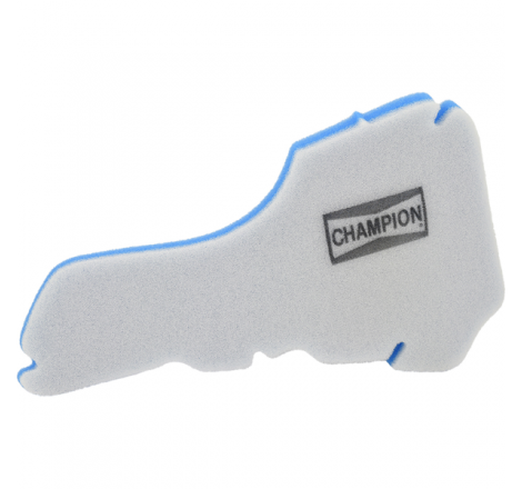 https://images.rms.it/Moto/Aspirazione/Filtri-Aria/big/Champion-100605865.png