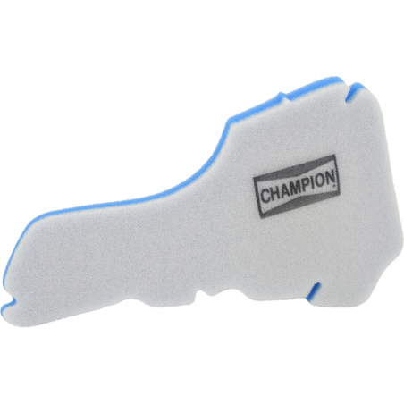 https://images.rms.it/Moto/Aspirazione/Filtri-Aria/big/Champion-100605865.png