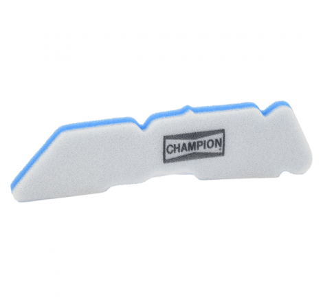 https://images.rms.it/Moto/Aspirazione/Filtri-Aria/big/Champion-100605875.png