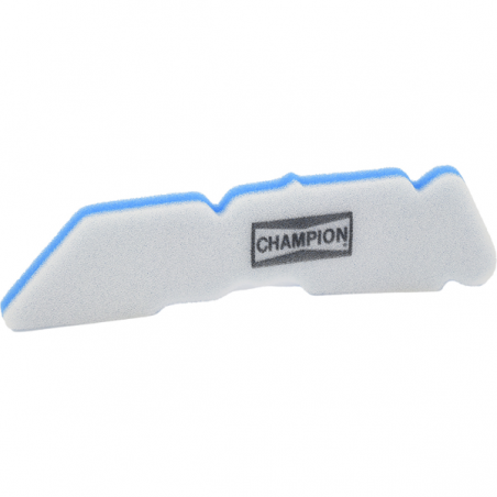 https://images.rms.it/Moto/Aspirazione/Filtri-Aria/big/Champion-100605875.png