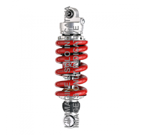 https://images.rms.it/Moto/Sospensioni/Ammortizzatori---Sospensioni/big/YSS-Suspension-204590742.png