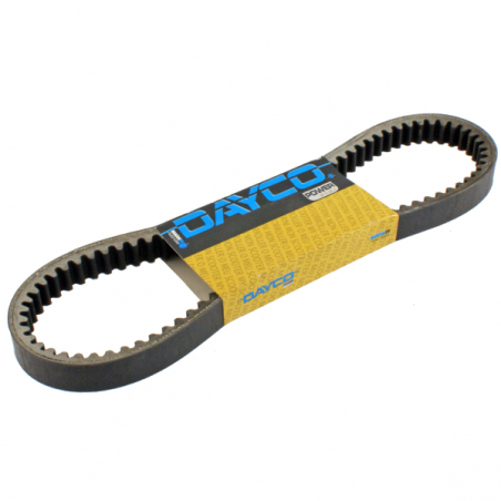 https://images.rms.it/Moto/Trasmissione/Cinghie-di-Trasmissione/big/Dayco-163750070.png