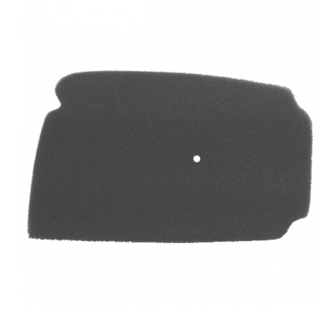 https://images.rms.it/Moto/Aspirazione/Filtri-Aria/big/Nypso-100600171.png