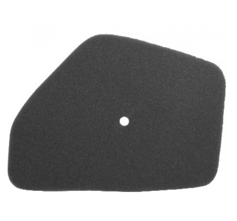 https://images.rms.it/Moto/Aspirazione/Filtri-Aria/big/Nypso-100600281.png