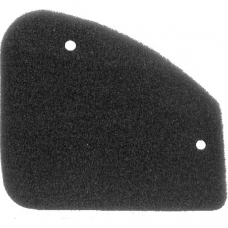 https://images.rms.it/Moto/Aspirazione/Filtri-Aria/big/Nypso-100600371.png