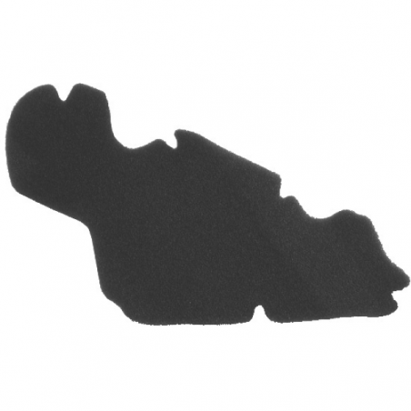 https://images.rms.it/Moto/Aspirazione/Filtri-Aria/big/Nypso-100600401.png
