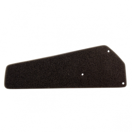https://images.rms.it/Moto/Aspirazione/Filtri-Aria/big/Nypso-100600521.png