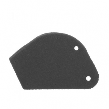 Filtro Aria Nypso Atala Lepton 50cc