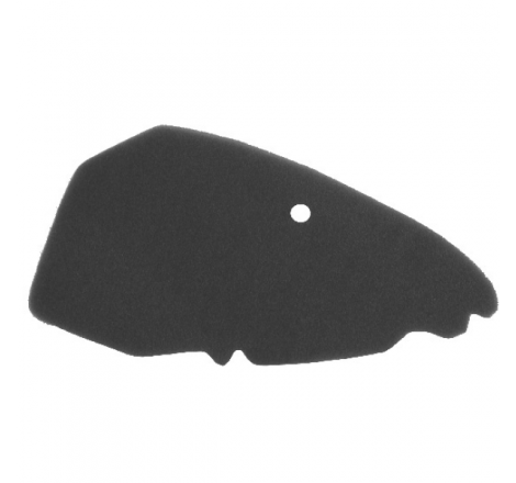 https://images.rms.it/Moto/Aspirazione/Filtri-Aria/big/Nypso-100600461.png