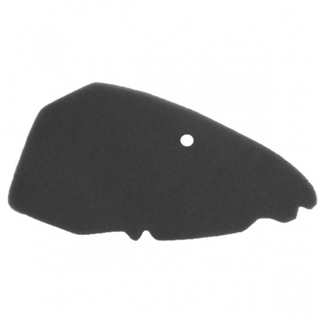 https://images.rms.it/Moto/Aspirazione/Filtri-Aria/big/Nypso-100600461.png