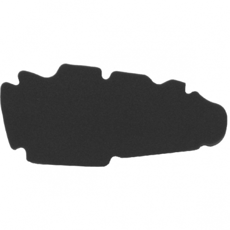 https://images.rms.it/Moto/Aspirazione/Filtri-Aria/big/Nypso-100600931.png
