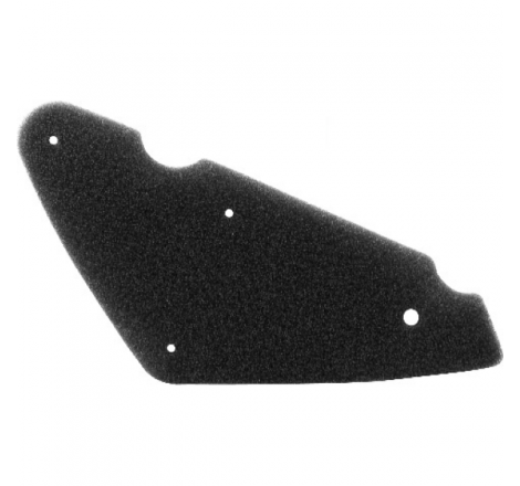https://images.rms.it/Moto/Aspirazione/Filtri-Aria/big/Nypso-100600971.png