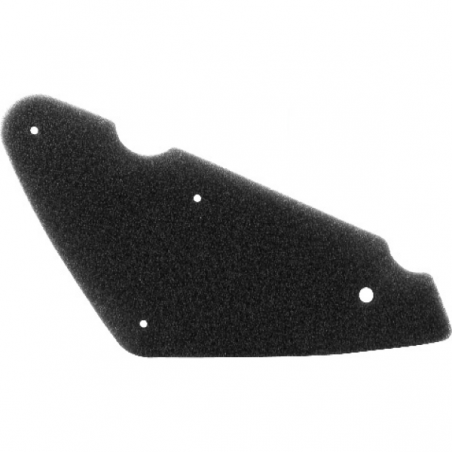 https://images.rms.it/Moto/Aspirazione/Filtri-Aria/big/Nypso-100600971.png