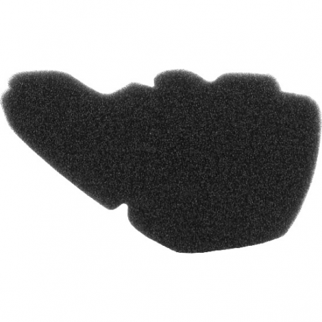 https://images.rms.it/Moto/Aspirazione/Filtri-Aria/big/Nypso-100600981.png