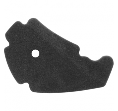 https://images.rms.it/Moto/Aspirazione/Filtri-Aria/big/Nypso-100600991.png