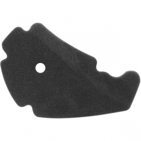 https://images.rms.it/Moto/Aspirazione/Filtri-Aria/big/Nypso-100600991.png