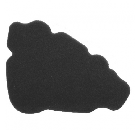https://images.rms.it/Moto/Aspirazione/Filtri-Aria/big/Nypso-100600891.png