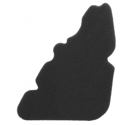 https://images.rms.it/Moto/Aspirazione/Filtri-Aria/big/Nypso-100600911.png