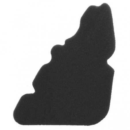 https://images.rms.it/Moto/Aspirazione/Filtri-Aria/big/Nypso-100600911.png