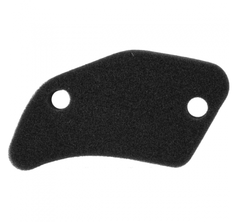https://images.rms.it/Moto/Aspirazione/Filtri-Aria/big/Nypso-100601191.png