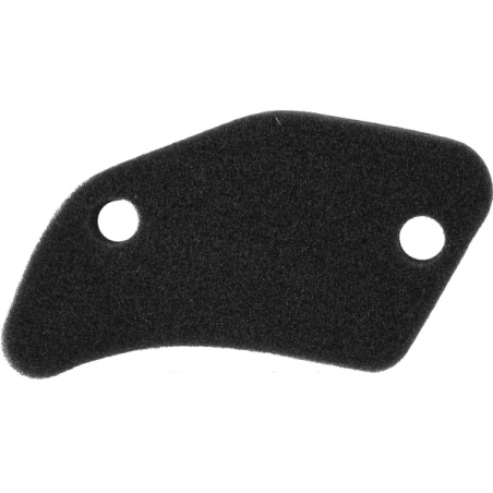 https://images.rms.it/Moto/Aspirazione/Filtri-Aria/big/Nypso-100601191.png