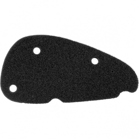 https://images.rms.it/Moto/Aspirazione/Filtri-Aria/big/Nypso-100601301.png