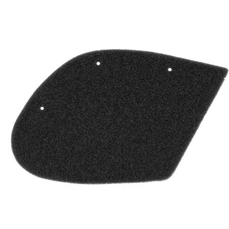 https://images.rms.it/Moto/Aspirazione/Filtri-Aria/big/Nypso-100601321.png