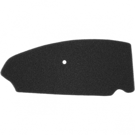 https://images.rms.it/Moto/Aspirazione/Filtri-Aria/big/Nypso-100601201.png