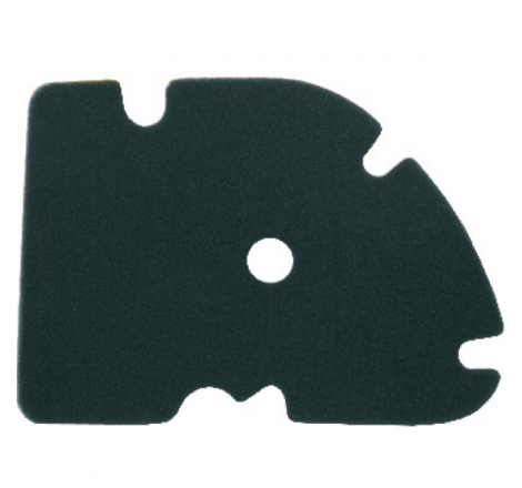 https://images.rms.it/Moto/Aspirazione/Filtri-Aria/big/Nypso-100602111.png