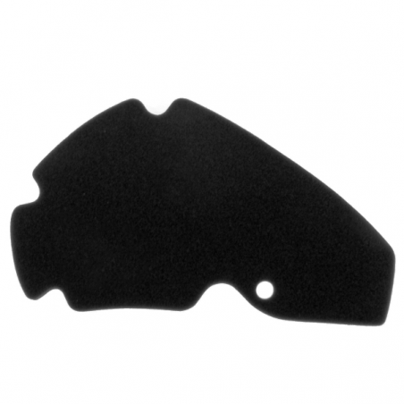 https://images.rms.it/Moto/Aspirazione/Filtri-Aria/big/Nypso-100602471.png