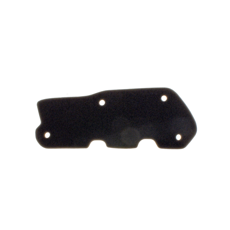 https://images.rms.it/Moto/Aspirazione/Filtri-Aria/big/Nypso-100602481.png