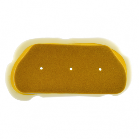 https://images.rms.it/Moto/Aspirazione/Filtri-Aria/big/Nypso-100603500.png