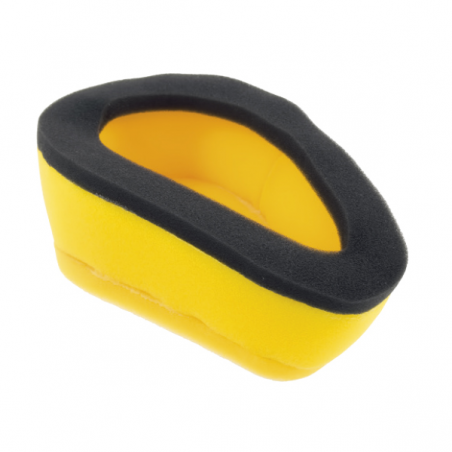 https://images.rms.it/Moto/Aspirazione/Filtri-Aria/big/Nypso-100603600.png