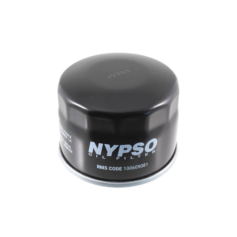 https://images.rms.it/Moto/Motore/Filtri-Olio/big/Nypso-100609081.png