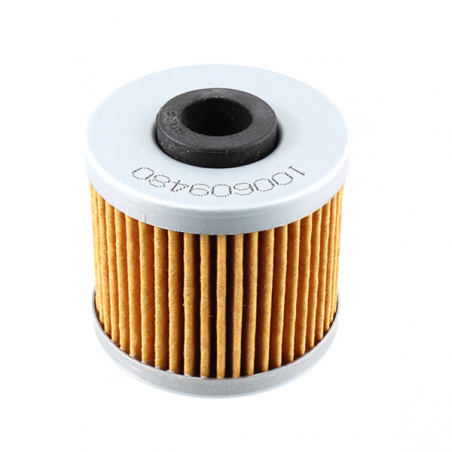 https://images.rms.it/Moto/Motore/Filtri-Olio/big/Nypso-100609480.png