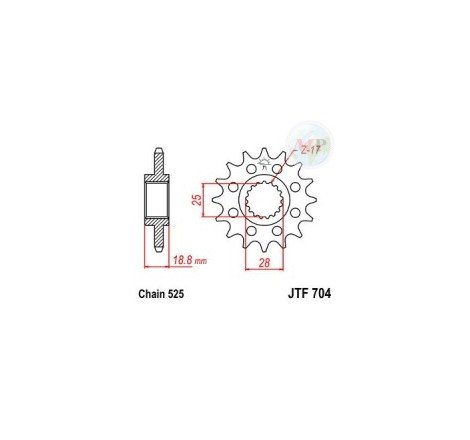 PIGNONE 525 Z17 (4040K)