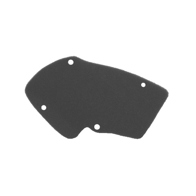https://images.rms.it/Moto/Aspirazione/Filtri-Aria/big/Nypso-100600121.png