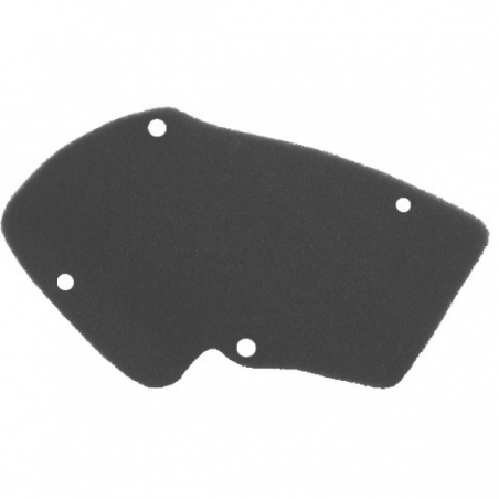 https://images.rms.it/Moto/Aspirazione/Filtri-Aria/big/Nypso-100600121.png