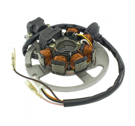 https://images.rms.it/Moto/Impianto-Elettrico/Statori/big/RMS-246350210.png
