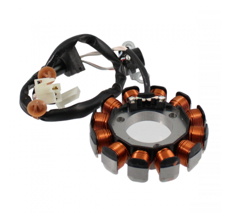 https://images.rms.it/Moto/Impianto-Elettrico/Statori/big/RMS-246350482.png