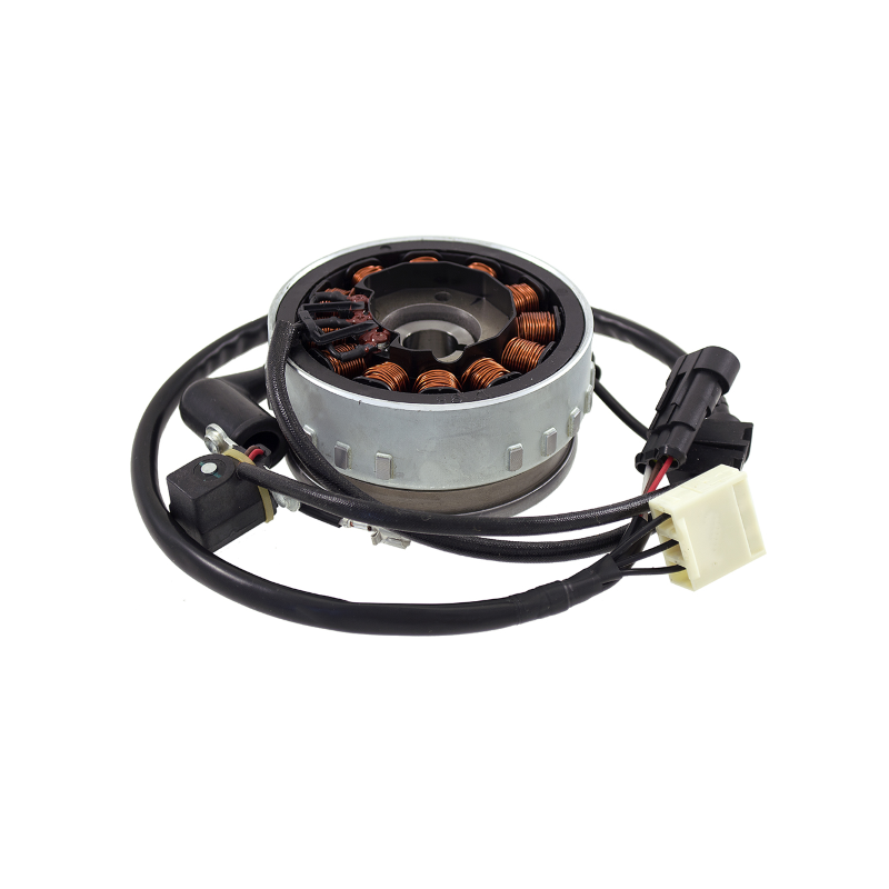 https://images.rms.it/Moto/Impianto-Elettrico/Volani-Completi/big/RMS-246360912.png